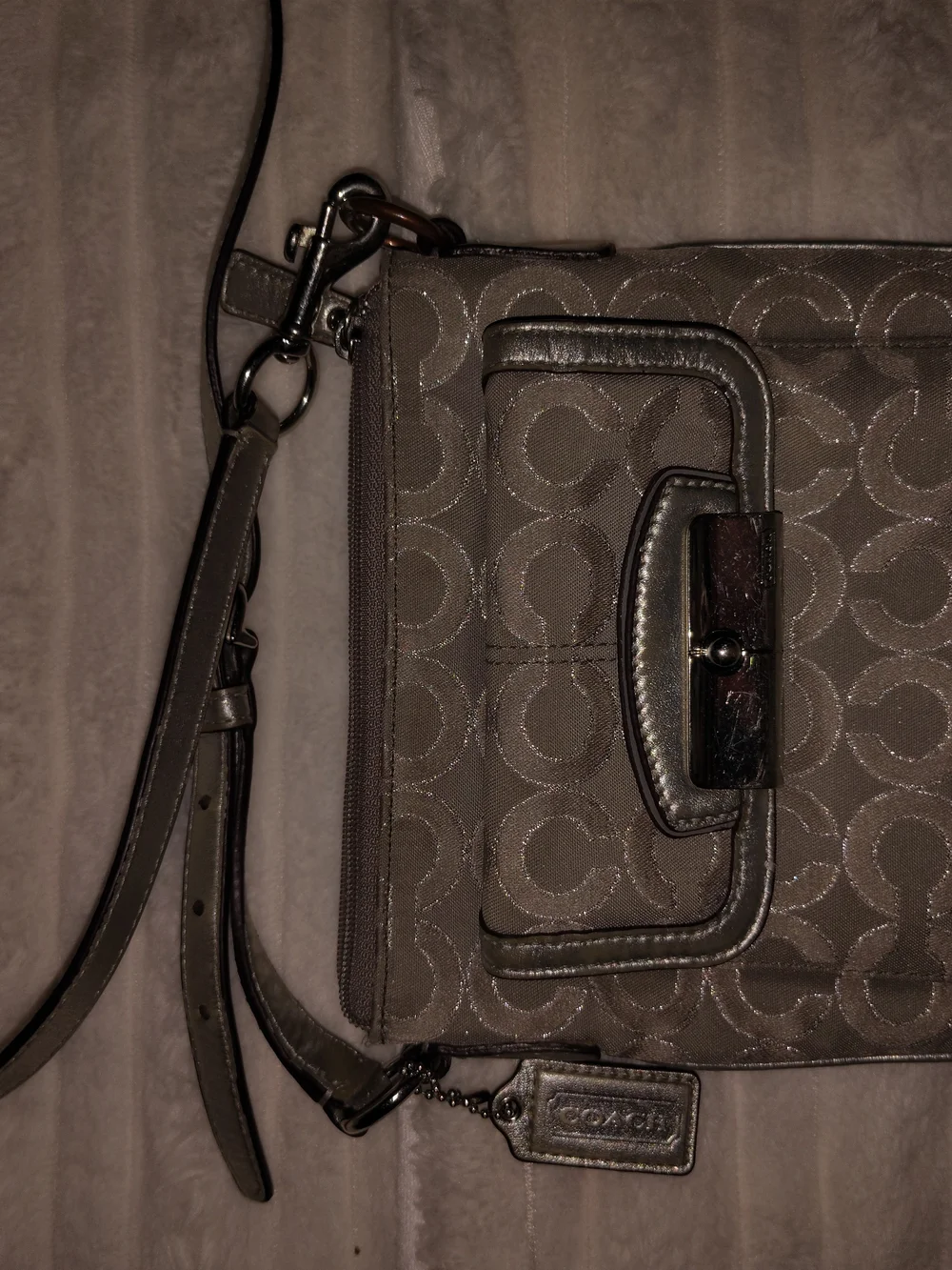 Coach Metallic Silver Signature Crossbody Bag